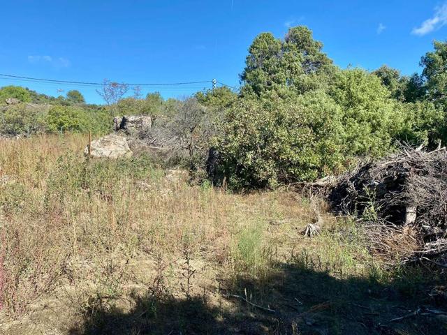 Parcela en venta en Urbanización El Pinar de la Atalaya photo 0