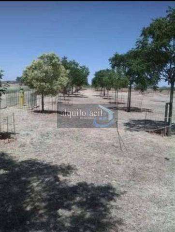 SE VENDE TERRENO EN CASAS DE BENITEZ DE 3100 METROS POR 18500€ photo 0