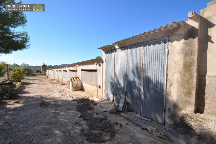 En Alquiler Granja en la Zona de Johnny Montañes, de 800 m2 para almacenaje photo 0
