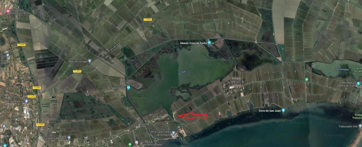 FINCA DE ARROZ EN L'ENCANYISSADA photo 0