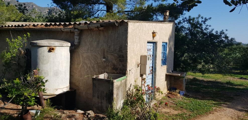 FINCA DE 3 HECTAREAS CON ALMACEN DE 24 M2, LUZ Y AGUA photo 0