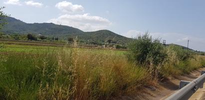 FINCA EN LA RAPITA COLINDANTE CON N-340 photo 0