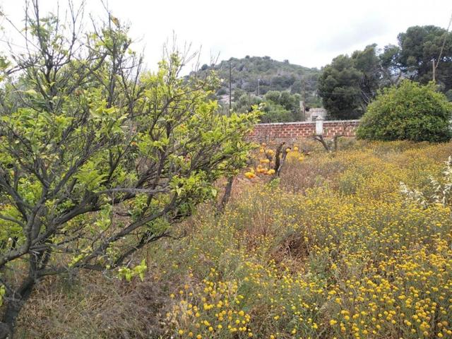 Alcanar Playa, Parcela de 400 mts. photo 0