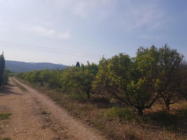 FINCA EN LA GALERA CON AGUA Y CASA DE 15m2 photo 0