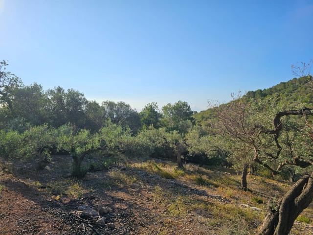 FINCA DE 1300 M2 EN RACO CALEN photo 0