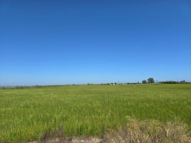 FINCA DE ARROZ EN ENCANYISSADA photo 0