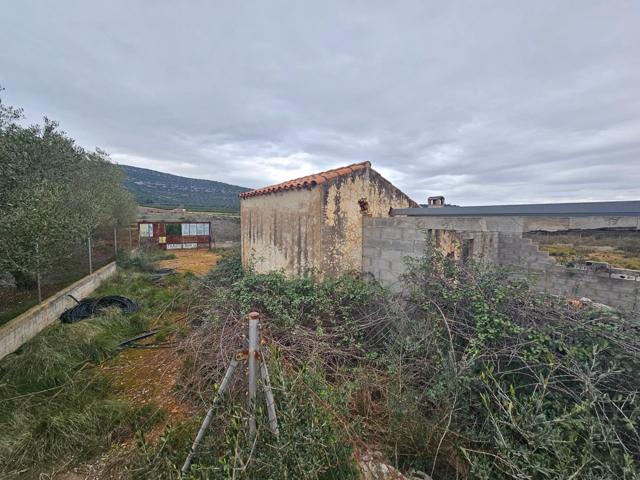 FINCA DE 5 HA EN FREGINALS CON CASA photo 0