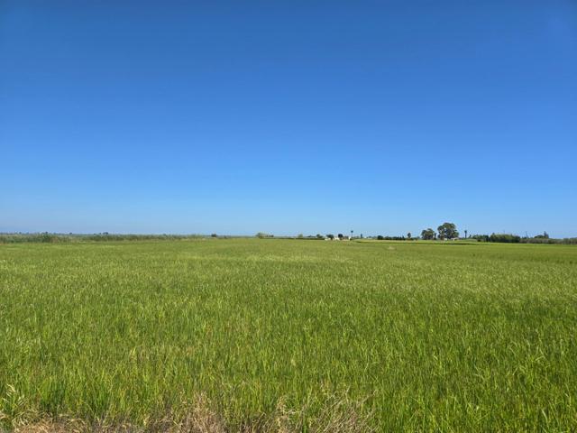 FINCA DE ARROZ photo 0