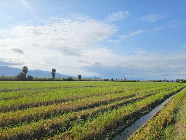 FINCA DE ARROZ EN FRENTE DEL MAR photo 0