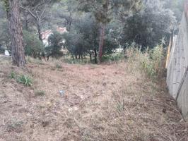 PARCELA URBANA photo 0