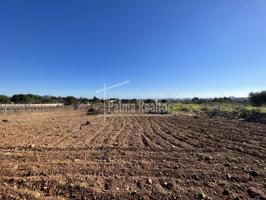 Terreno en venta en Son Servera de 6451 m2 photo 0