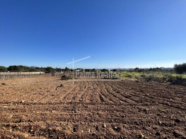 Terreno en venta en Son Servera de 6451 m2 photo 0