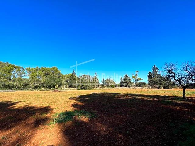 Finca Rústica en venta en Algaida de 16229 m2 photo 0