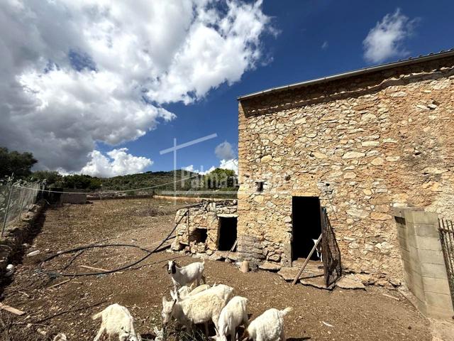 Encantadora finca rústica con casa de piedra a reformar photo 0