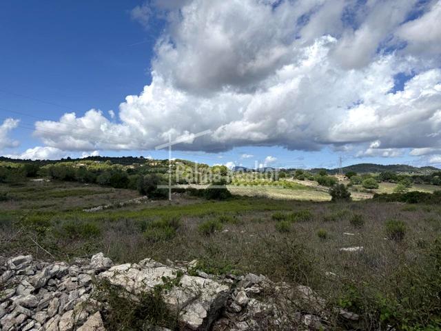 Finca rústica edificable photo 0