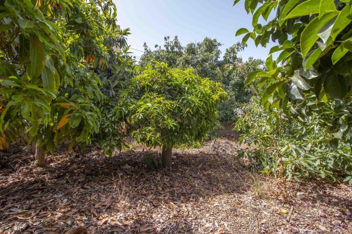Terreno en venta en el encantador pueblo de San Juan, Güimar photo 0
