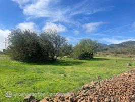 Venta de Terreno rústico en Pinalillo-Llano del Moro photo 0