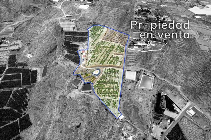 Venta de Terreno en Finca la Tablada, Guía de Isora, Tenerife photo 0