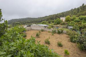 Venta de Terreno en Carretera General Icod de los Vinos photo 0