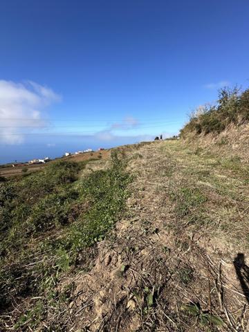 Terreno rústico en Icod el Alto, Los Realejos, Tenerife photo 0