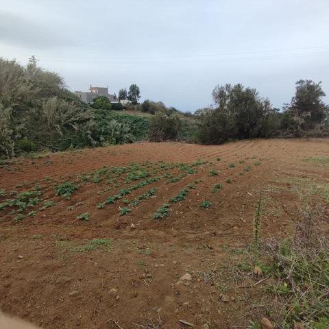 ¡Ravelo te ofrece tu espacio rural! Venta de terreno rústico con potencial agrícola. photo 0