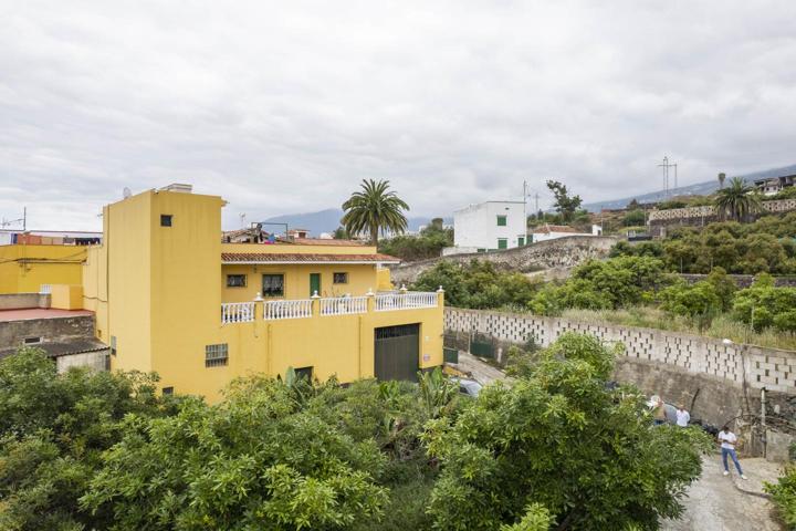 Oportunidad única en Los Realejos – Finca con vivienda y producción agrícola photo 0