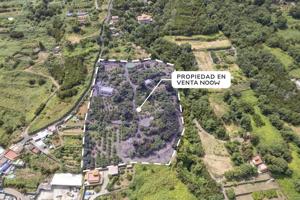 Finca con alma, frutales y vistas 360º en La Orotava (La Cabezada) photo 0