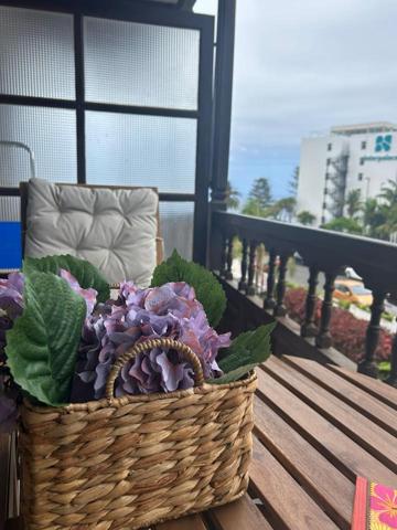 Estudio en alquiler en zona Botánico en Puerto de la Cruz photo 0