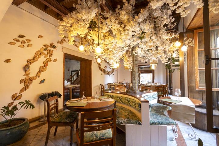 Invierte en Éxito: Traspaso de negocio en Puerto de la Cruz photo 0