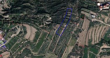 ¡Oportunidad! Se vende terreno rústico de 893 m² en Teguedite, Arico 🌿 photo 0