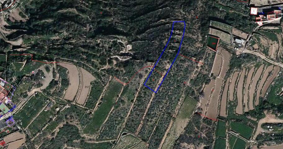 ¡Oportunidad! Se vende terreno rústico de 893 m² en Teguedite, Arico 🌿 photo 0