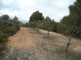 OPORTUNIDAD TERRENO EN CASTALLA NO TE LO PIERDAS :) photo 0