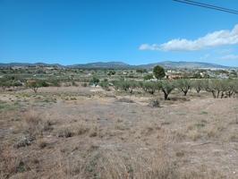 VENTA TERRENO RUSTICO CASTALLA EDIFICABLE CON AGUA photo 0
