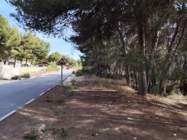 PARCELA RUSTICA VALLADA CON EDIFICACION EN TIBI, TEROL photo 0