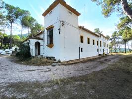 ALQUILER DE MASIA EN IBI CARRETERA DE BAÑERES photo 0