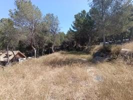 EN VENTA PARCELA URBANIZACIÓN TIBI photo 0