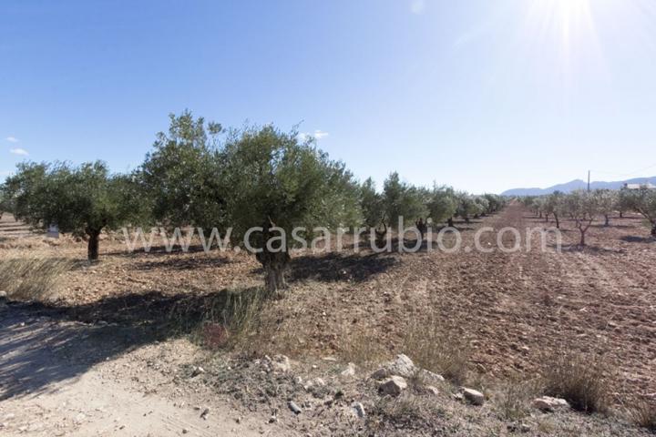 Terreno Urbanizable En venta en El Pla, Onil photo 0
