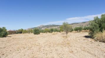 Terreno Urbanizable En venta en Otras, Onil photo 0
