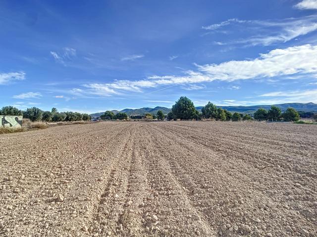 EXCLUSIVA PARCELA DE SUELO RUSTICO E INDUSTRIAL EN IBI photo 0