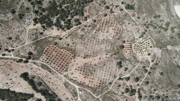 Oportunidad única: 45.000 m² para inversión agrícola o turismo rural a 5 min de Castalla photo 0