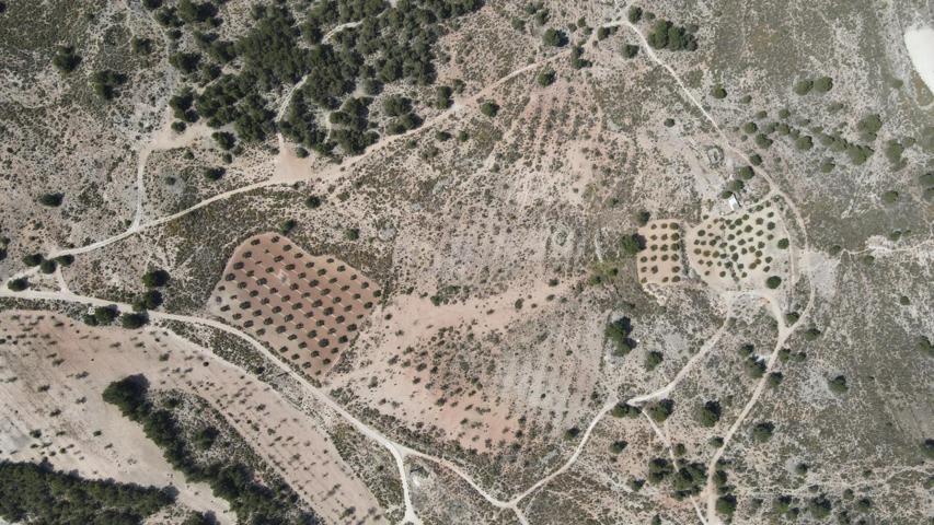 Oportunidad única: 45.000 m² para inversión agrícola o turismo rural a 5 min de Castalla photo 0