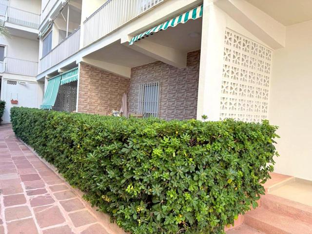 PB EN 1º LINEA DE PLAYA DE GANDIA ALQUILER TEMPORADA OCTUBRE JUNIO 2 HABITACIONES, 1 BAÑO, SALON COCINA Y TERRAZA photo 0