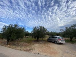 Finca Rústica en Venta en Anna, Valencia photo 0