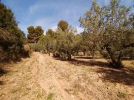 Finca Rústica en Venta en L'alcúdia de Crespíns, Valencia photo 0