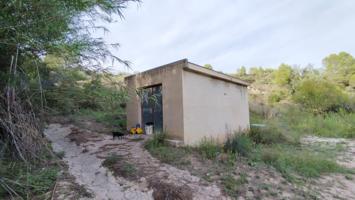 Finca Rústica en Venta en L'alcúdia de Crespíns, Valencia photo 0