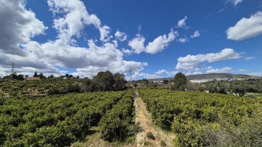 Terreno De Cultivo en Venta en Alcudia de Crespins, Valencia photo 0
