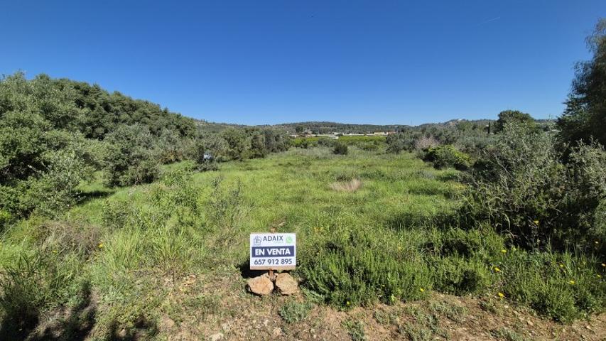 Finca Rústica en Venta en Alcudia de Crespins, Valencia photo 0