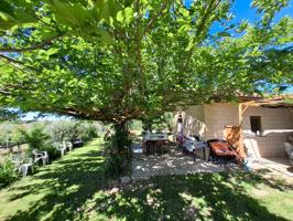 Finca olivar en Olite photo 0