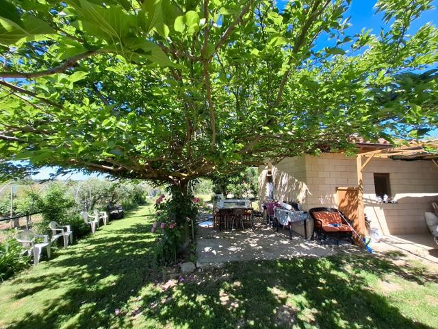 Finca olivar en Olite photo 0