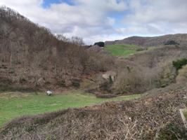 Terreno con Borda photo 0